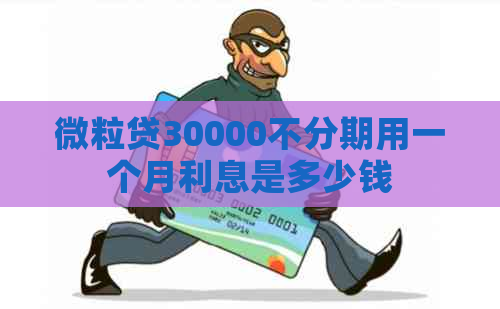 微粒贷30000不分期用一个月利息是多少钱