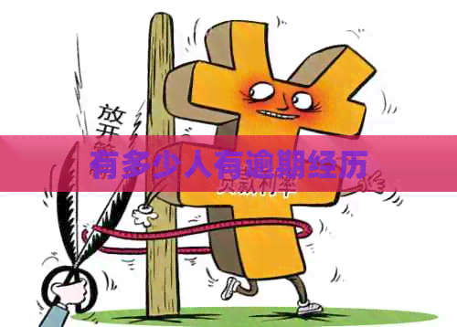 有多少人有逾期经历