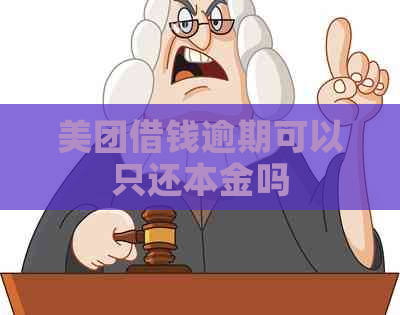 美团借钱逾期可以只还本金吗