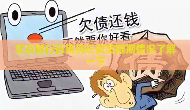 北京银行信用购还款宽限期情况了解一下