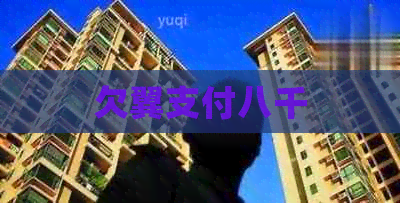 欠翼支付八千