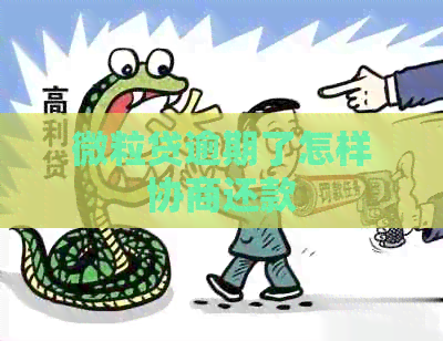 微粒贷逾期了怎样协商还款
