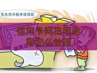 信用卡网贷刚逾期怎么处理