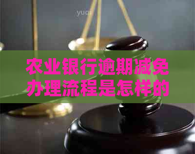 农业银行逾期减免办理流程是怎样的
