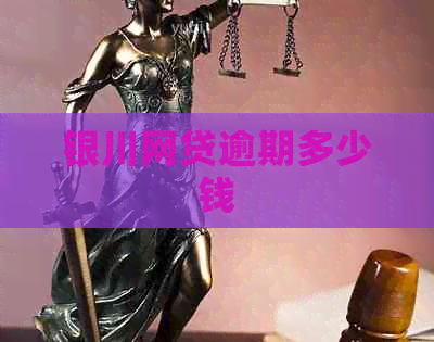 银川网贷逾期多少钱