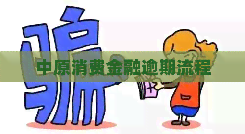 中原消费金融逾期流程