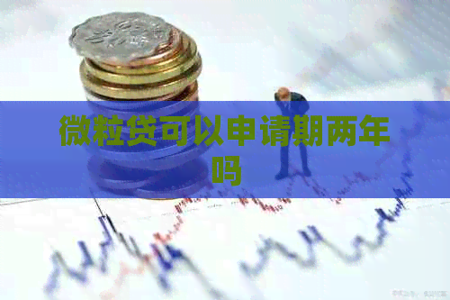 微粒贷可以申请期两年吗