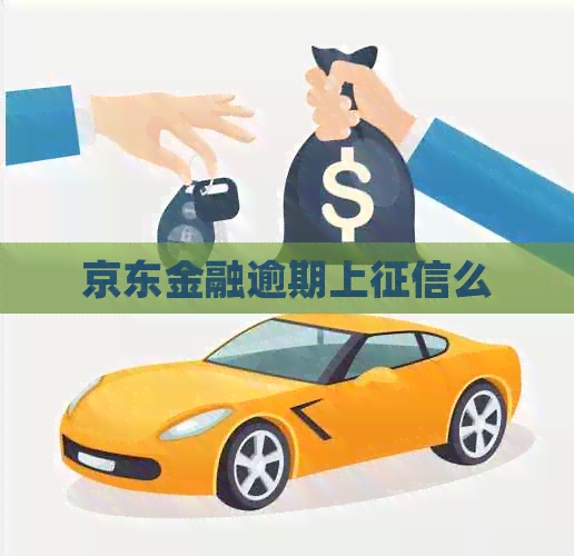 京东金融逾期上么