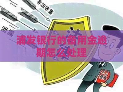 浦发银行的备用金逾期怎么处理