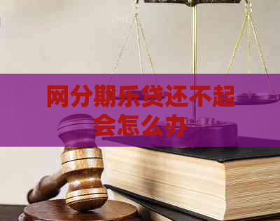 网贷还不起会怎么办