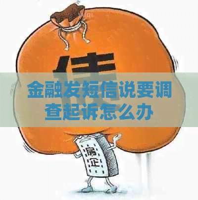 金融发短信说要调查起诉怎么办