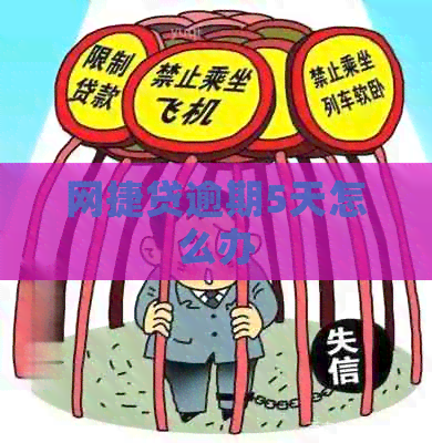 网捷贷逾期5天怎么办