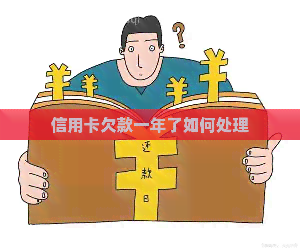 信用卡欠款一年了如何处理