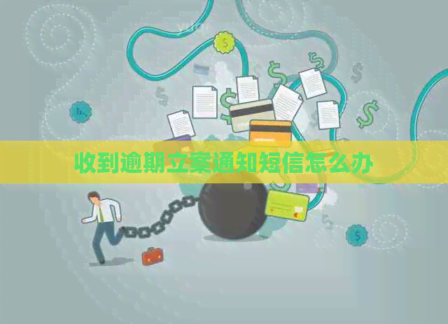 收到逾期立案通知短信怎么办