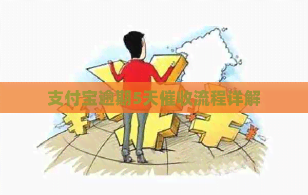 支付宝逾期5天流程详解