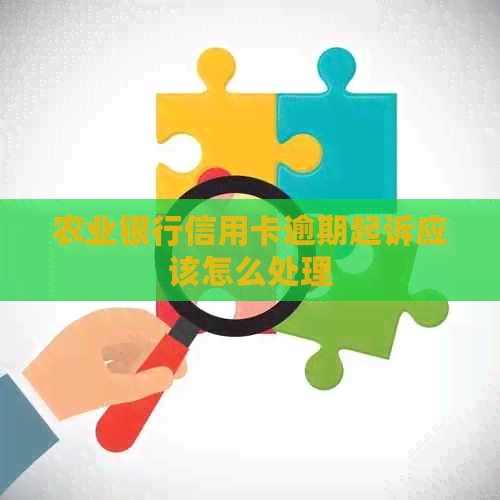 农业银行信用卡逾期起诉应该怎么处理