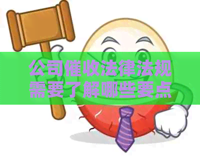 公司法律法规需要了解哪些要点