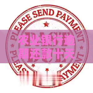 农业银行逾期还款十天后会发生什么