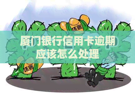 厦门银行信用卡逾期应该怎么处理