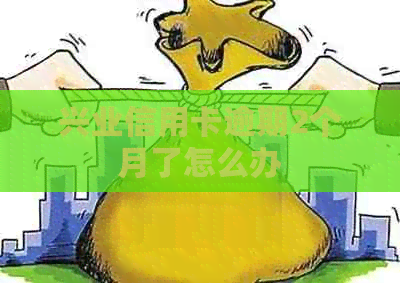 兴业信用卡逾期2个月了怎么办