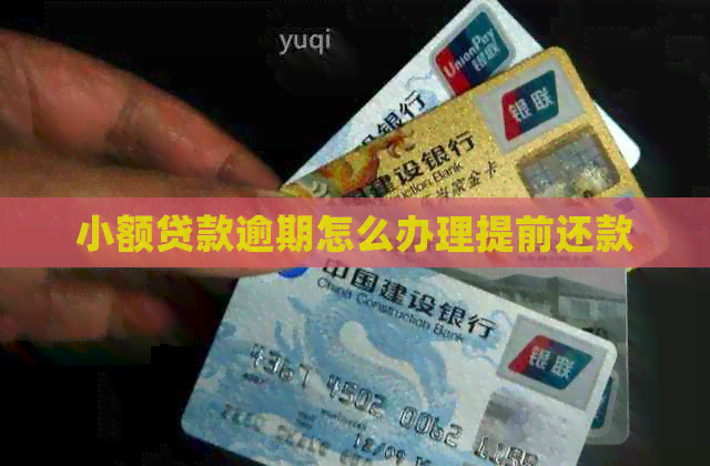 小额贷款逾期怎么办理提前还款
