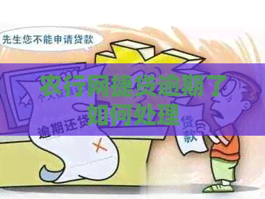 农行网捷贷逾期了如何处理