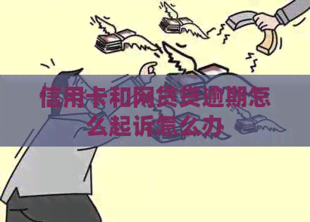 信用卡和网贷贷逾期怎么起诉怎么办