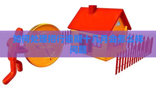 如何处理招行逾期十几月会怎么样问题