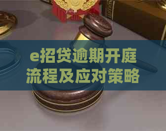 e招贷逾期开庭流程及应对策略