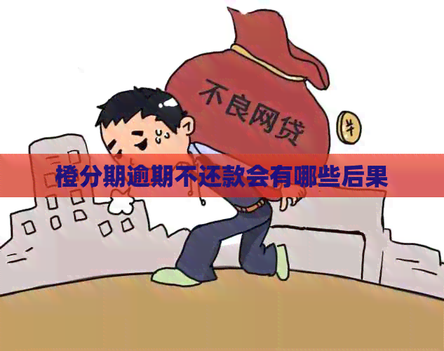 橙分期逾期不还款会有哪些后果