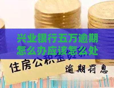 兴业银行五万逾期怎么办应该怎么处理