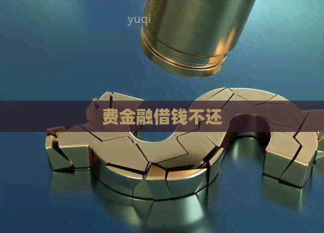 费金融借钱不还