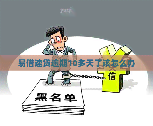 易借速贷逾期10多天了该怎么办