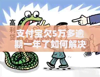 支付宝欠5万多逾期一年了如何解决