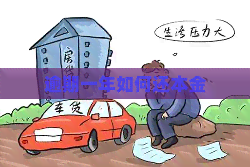 逾期一年如何还本金