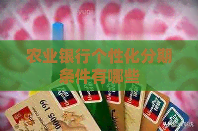农业银行个性化分期条件有哪些