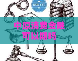 中原消费金融可以期吗