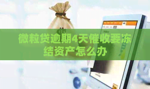 微粒贷逾期4天要冻结资产怎么办