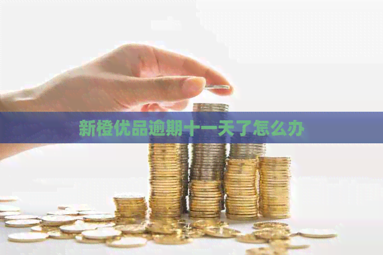 新橙优品逾期十一天了怎么办