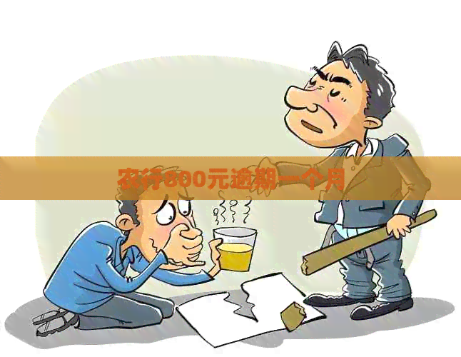 农行800元逾期一个月