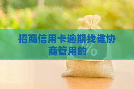 招商信用卡逾期找谁协商管用的