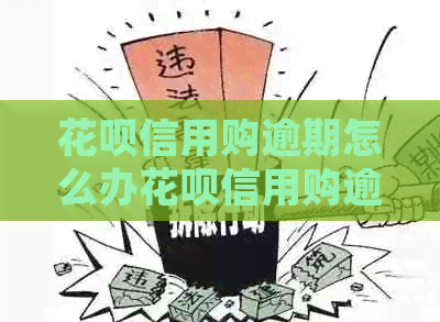 花呗信用购逾期怎么办花呗信用购逾期如何处理