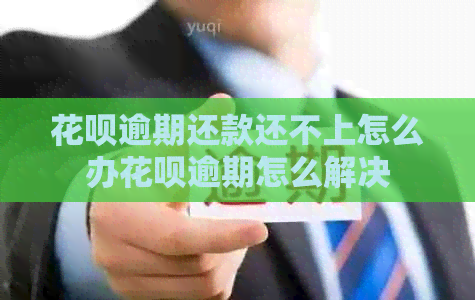 花呗逾期还款还不上怎么办花呗逾期怎么解决