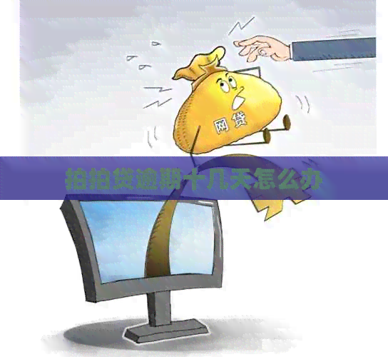 逾期十几天怎么办