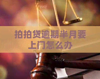 逾期半月要上门怎么办