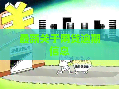 最新关于网贷逾期信息