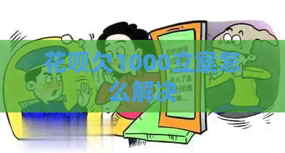 花呗欠1000立案怎么解决