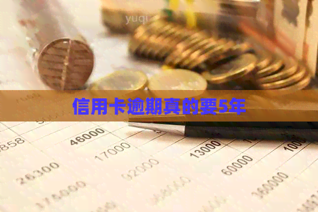 信用卡逾期真的要5年