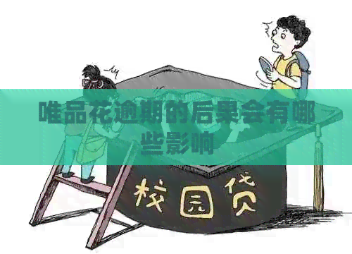 唯品花逾期的后果会有哪些影响