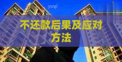 不还款后果及应对方法